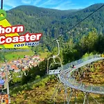 Schwarzwald - Naehe Der Schweiz *