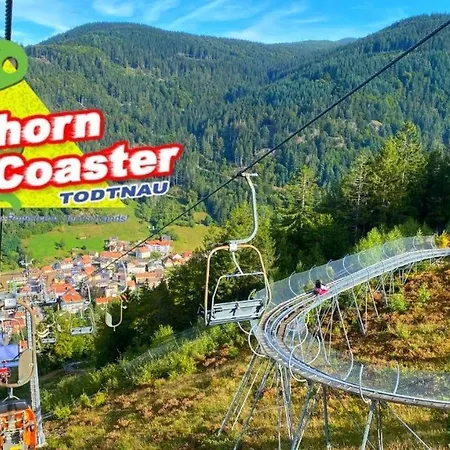 Schwarzwald - Naehe Der Schweiz *