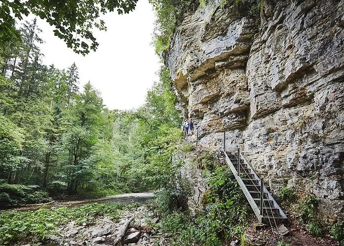 Schwarzwald - Naehe Der Schweiz Apartment *